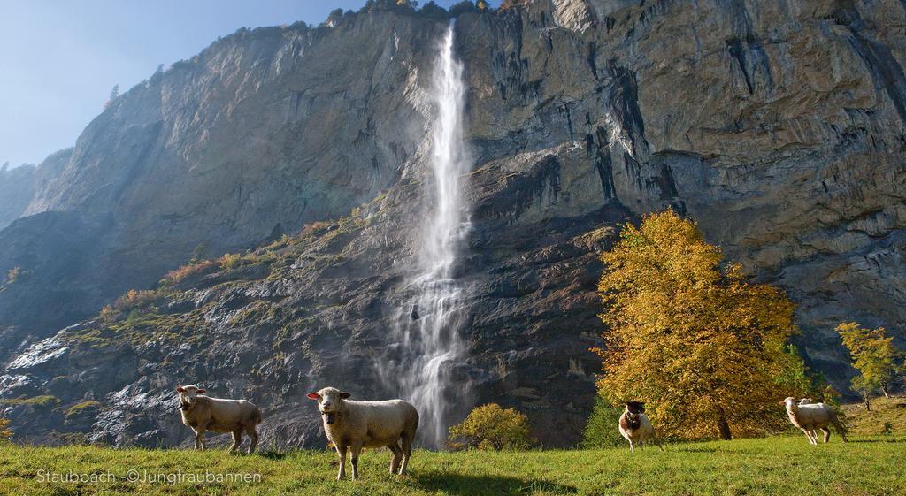 Camping Jungfrau Лаутербруннен Экстерьер фото